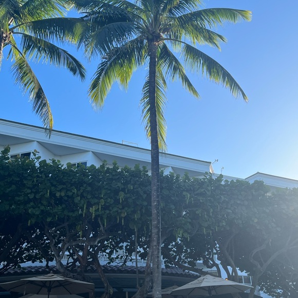 Meet your Posher, Ashley - Picture 9 of 16